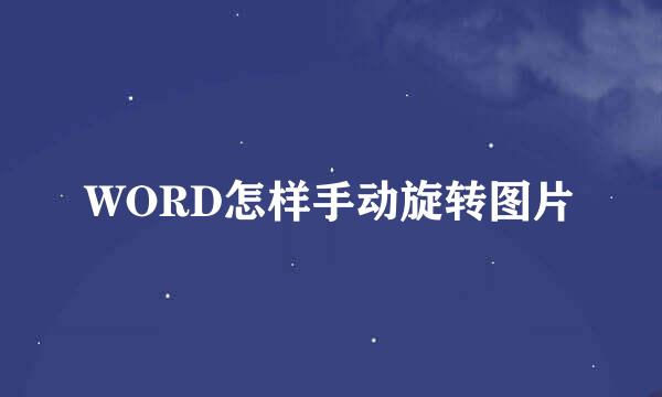 WORD怎样手动旋转图片