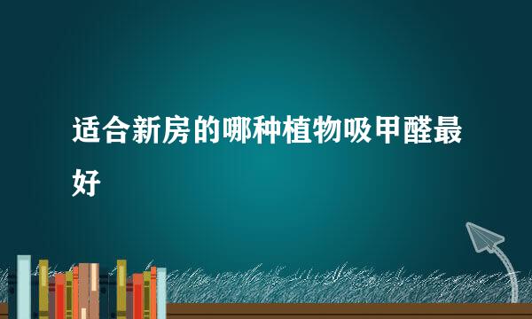 适合新房的哪种植物吸甲醛最好