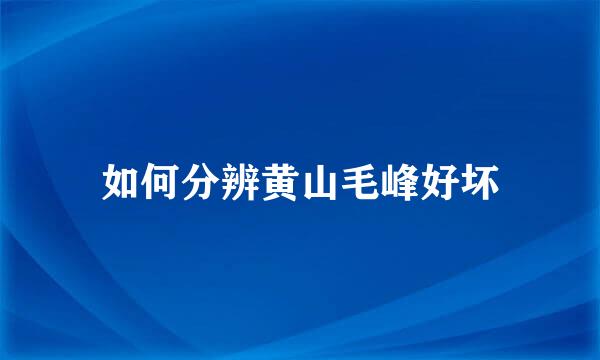 如何分辨黄山毛峰好坏