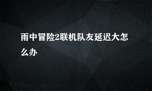 雨中冒险2联机队友延迟大怎么办