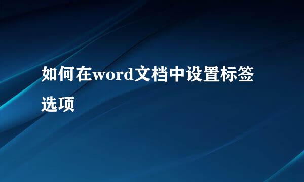 如何在word文档中设置标签选项
