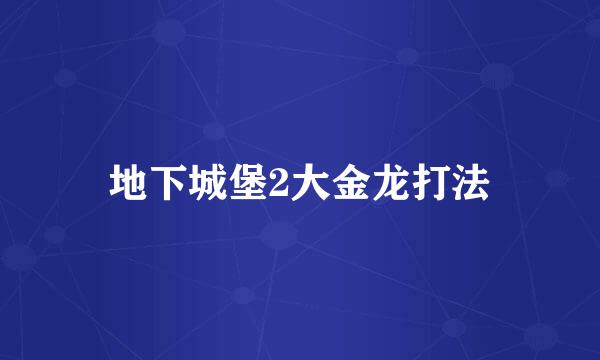 地下城堡2大金龙打法