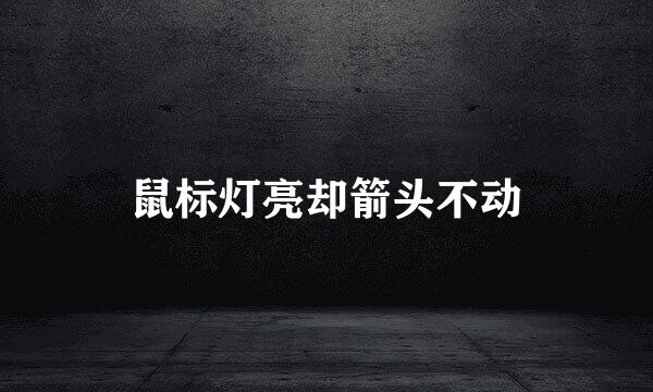 鼠标灯亮却箭头不动