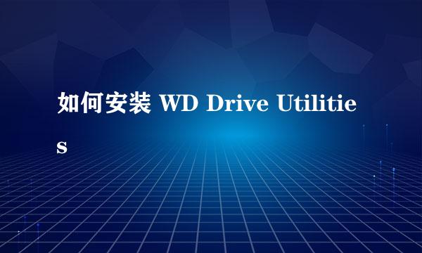 如何安装 WD Drive Utilities