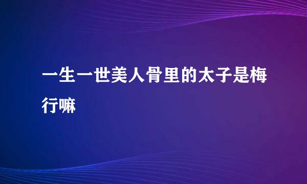 一生一世美人骨里的太子是梅行嘛