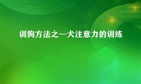 训狗方法之—犬注意力的训练