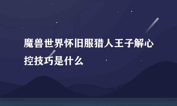 魔兽世界怀旧服猎人王子解心控技巧是什么