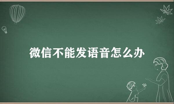 微信不能发语音怎么办