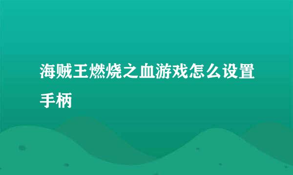 海贼王燃烧之血游戏怎么设置手柄
