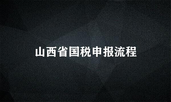 山西省国税申报流程