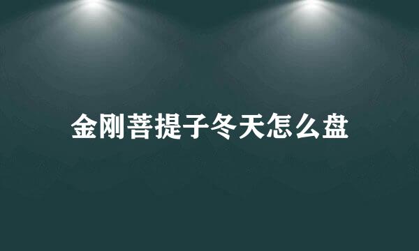 金刚菩提子冬天怎么盘