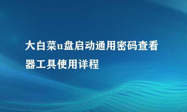 大白菜u盘启动通用密码查看器工具使用详程