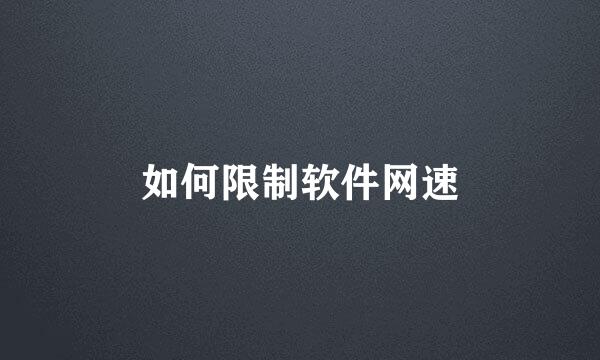 如何限制软件网速
