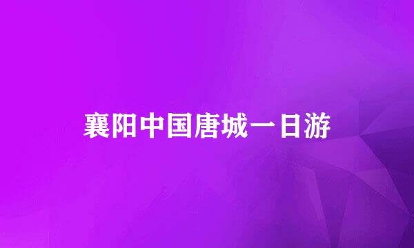 襄阳中国唐城一日游