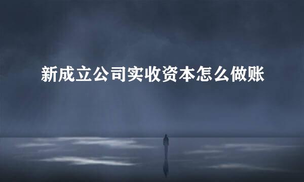 新成立公司实收资本怎么做账
