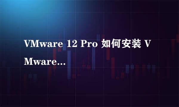 VMware 12 Pro 如何安装 VMware Tools