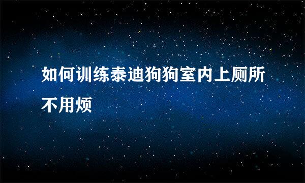 如何训练泰迪狗狗室内上厕所不用烦