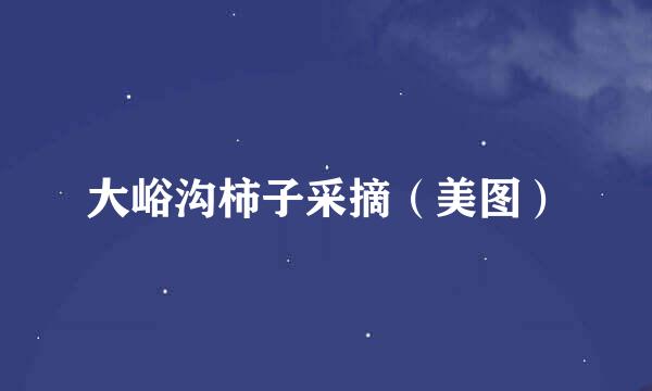 大峪沟柿子采摘（美图）