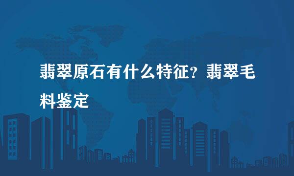 翡翠原石有什么特征？翡翠毛料鉴定