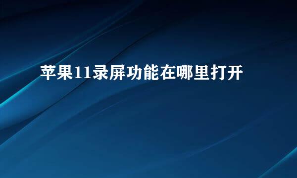 苹果11录屏功能在哪里打开