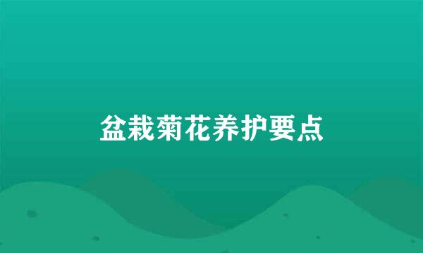 盆栽菊花养护要点