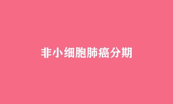 非小细胞肺癌分期