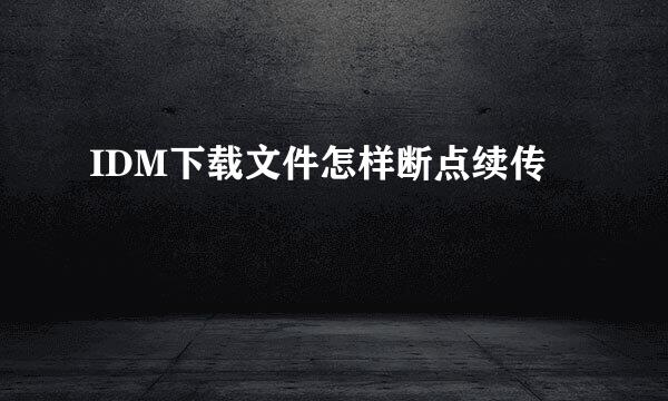 IDM下载文件怎样断点续传