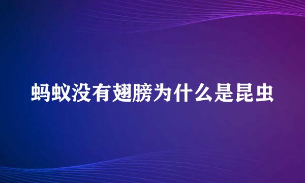 蚂蚁没有翅膀为什么是昆虫