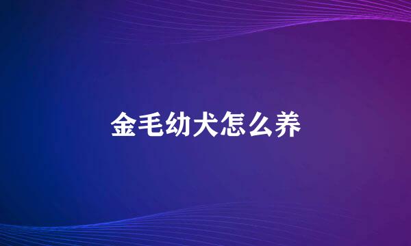 金毛幼犬怎么养