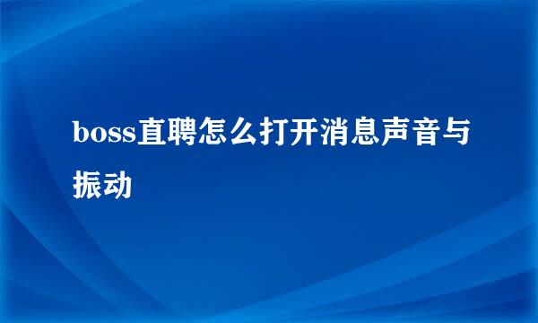 boss直聘怎么打开消息声音与振动