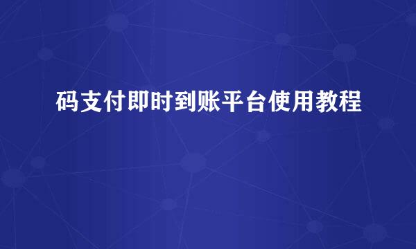 码支付即时到账平台使用教程