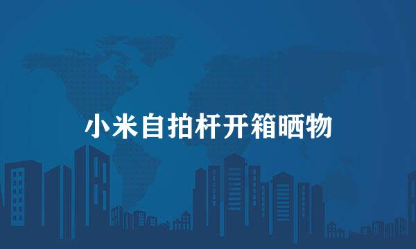 小米自拍杆开箱晒物