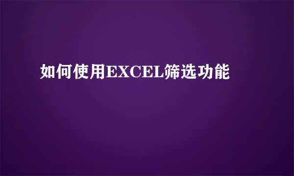 如何使用EXCEL筛选功能