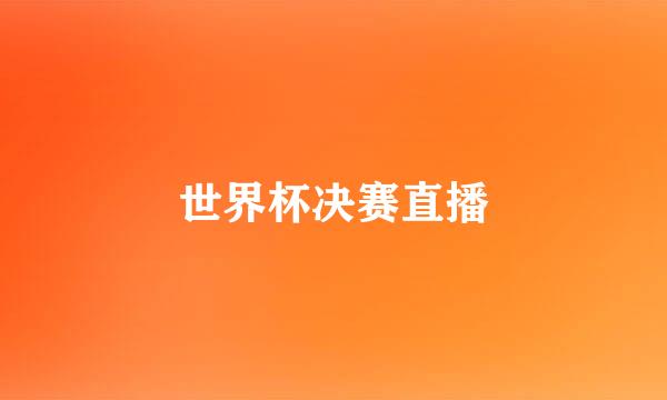 世界杯决赛直播