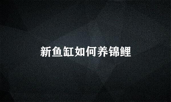 新鱼缸如何养锦鲤