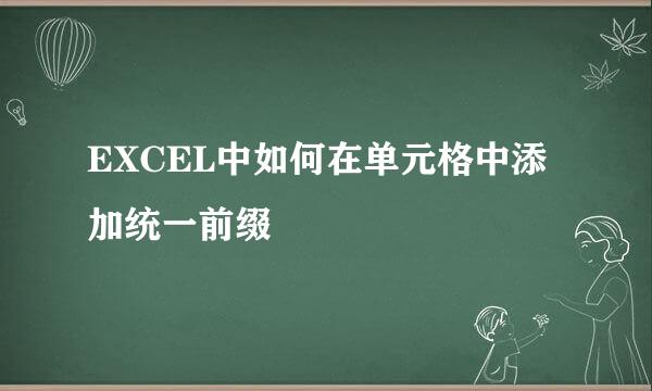 EXCEL中如何在单元格中添加统一前缀