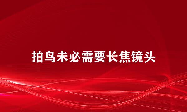拍鸟未必需要长焦镜头
