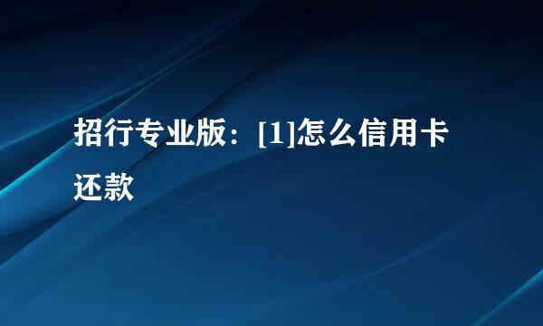 招行专业版：[1]怎么信用卡还款