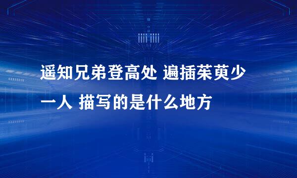 遥知兄弟登高处 遍插茱萸少一人 描写的是什么地方