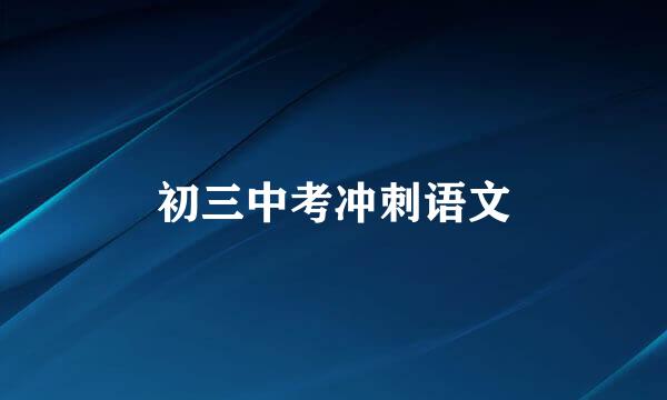 初三中考冲刺语文