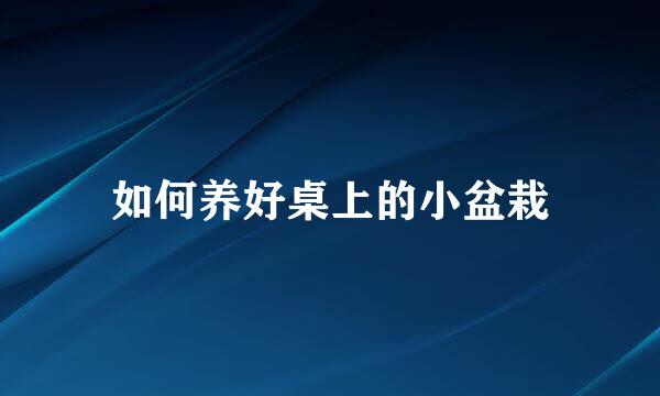 如何养好桌上的小盆栽
