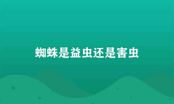 蜘蛛是益虫还是害虫