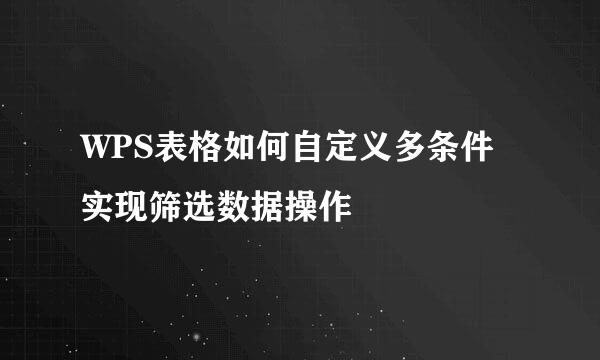 WPS表格如何自定义多条件实现筛选数据操作