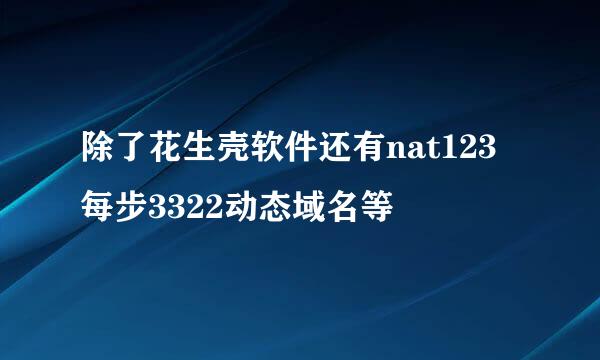 除了花生壳软件还有nat123每步3322动态域名等