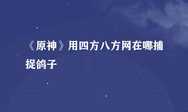 《原神》用四方八方网在哪捕捉鸽子
