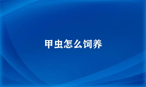 甲虫怎么饲养