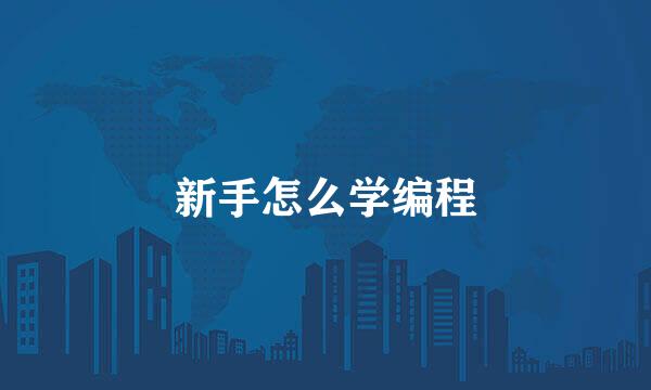 新手怎么学编程