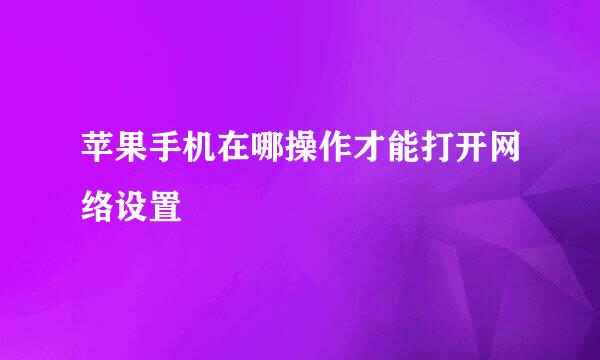 苹果手机在哪操作才能打开网络设置