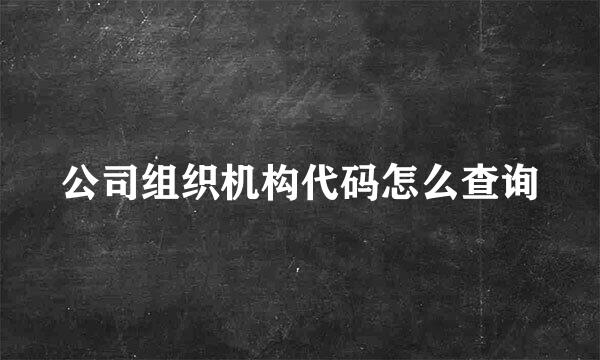 公司组织机构代码怎么查询