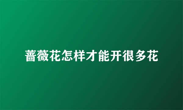 蔷薇花怎样才能开很多花